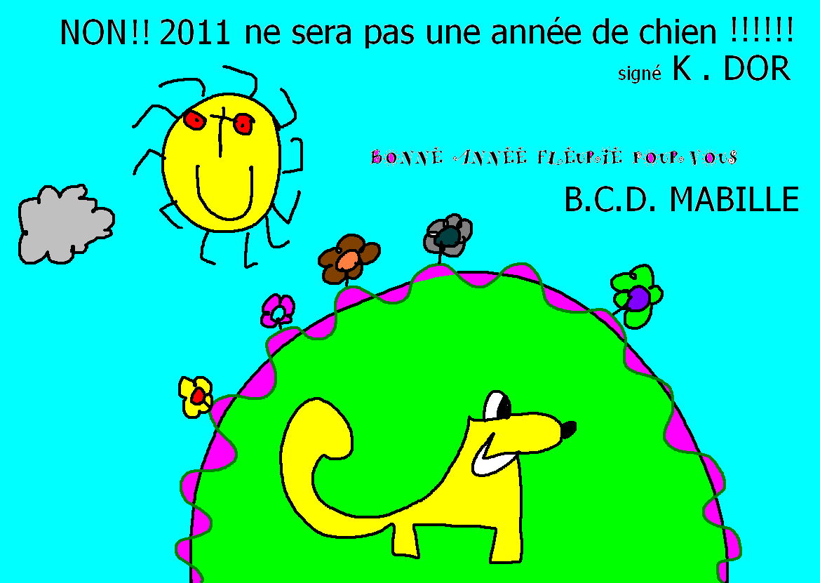 voeux 2011 f.png